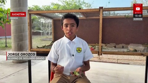 Estudiantes en Juchitán crean criaderos para salvar a iguanas | Milenio Hábitat