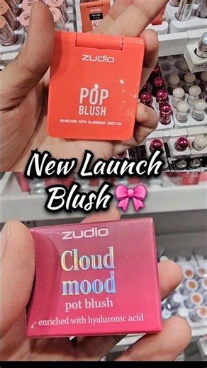 Zudio New Blush review #blush #makeuptutorial #zudiohaul #vrialshort #skincare #shortfeed