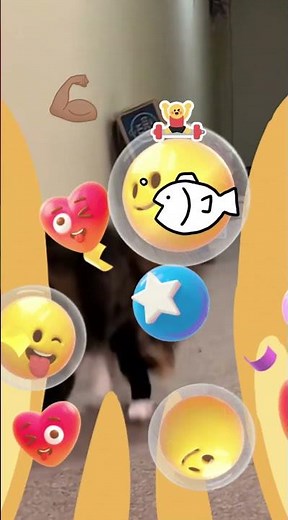 The Fiercest Freshwater Predator 😱 | Piranha Facts