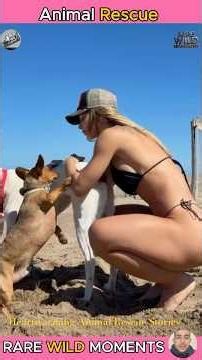 Heartwarming Animal Rescue Stories #heartwarming Part 5