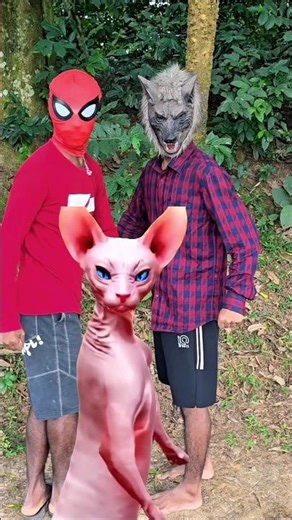 Dance Party Turned CRAZY When an Angry Cat Started Dancing 😆😾💃😂