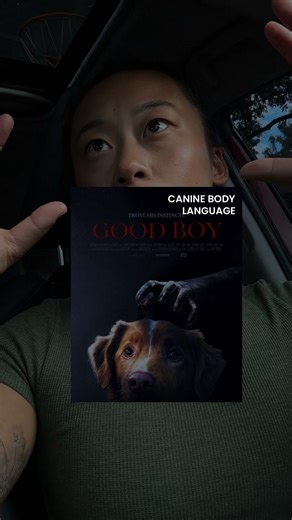 Jas | DOG TRAINER | Lip licking, paw lifting, whining, ears back, wide eyes, panting, and more, are all signs of negative stress/fear AND signs of excitement... | Instagram