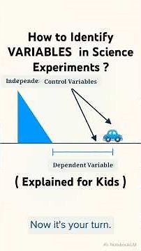 How to Identify VARIABLES in a Science Experiment?#shorts