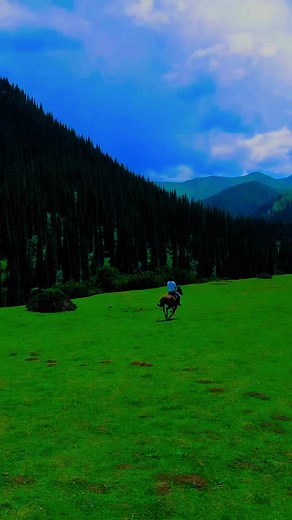 🎶🐎🐎🎶 | Mith