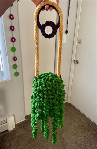 Hanging Corkscrew Vine Plant - Etsy