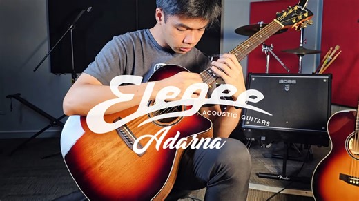 Wake me up when September ends cover by Christian Fenis using Elegee Adarna Sunburst | Elegee Custom Guitars