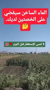 الماء الساخن سيقضي عل الخصيتين لديك.... 😱 #فكره #education | توب شوف TOP SHOUF