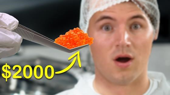 Quick & easy guide: How caviar is made
