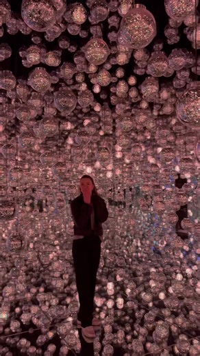 Teamlabs borderless was so cool.