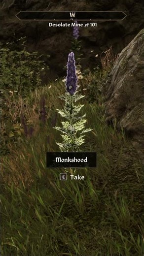 I Love How You Can Interact With The Environment of Oblivion While Exploring