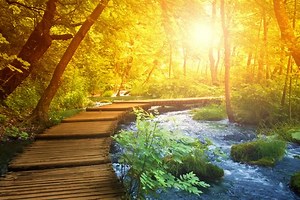 What Is Christian Mysticism? (Video)