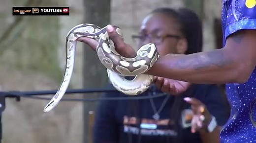 Watch our latest episode on youtube | JOZI Bioskop