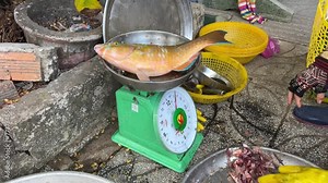 Woman cutting little fishes' head off on a round wooden board on the ground using butcher knife. extreme close-up