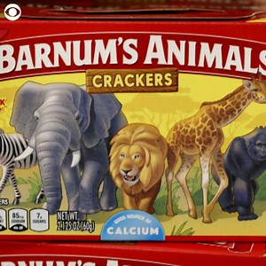 A classic snack just got a makeover! Take a look at why there is a new box for Barnum’s Animals crackers. | WSPA 7News