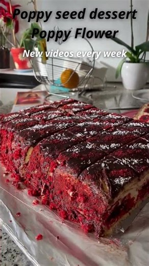 Poppy seed dessert Poppy Flower