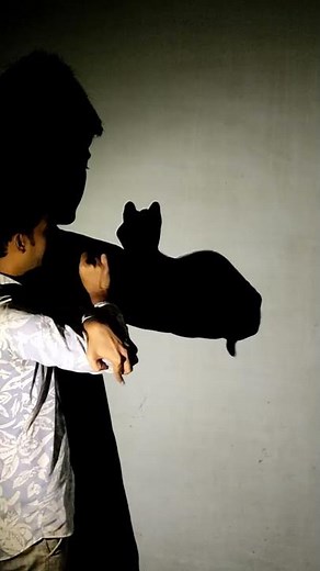 How To Make A Cat By Your Hand Shadow