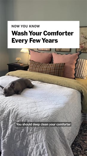 Essential Tips for a Clean and Cozy Bedroom