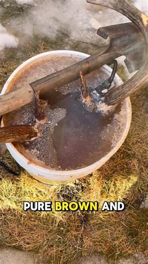 The Outdoor Effect | Why do we degrease skulls? Well, even though this is what lengthens our turnaround times a bit, it’s an important step in the process. The... | Instagram