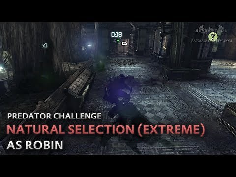 Batman: Arkham City - Natural Selection (Extreme) [as Robin] - Predator Challenge
