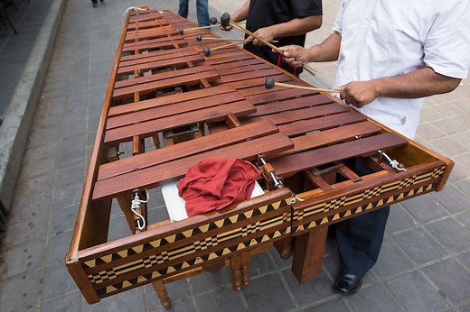 15 Fun And Interesting Facts About The Marimba