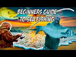 QUICK and EASY Guide to UK Sea Fishing 🦈