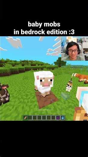 Minecraft Baby Mobs Moment