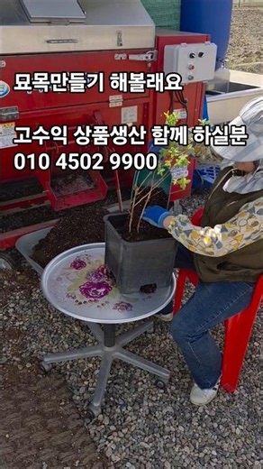 Growing Haskap Berry Seedlings: Let’s Produce High-Profit Products Together