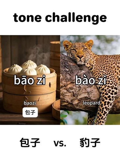Learn Chinese with Syndra on Instagram: "Which one you wanna eat: 包子 or 豹子? Here’s an explanation of 包子 (bāo zi) and 豹子 (bào zi), focusing on pronunciation and usage to avoid confusion: 1. 包子 | bāo zi ◦ Meaning: Steamed stuffed bun. It is a popular Chinese food, with the dough wrapping filled with things like meat, vegetables, or beans. ◦ Example: 我喜欢吃包子 (Wǒ xǐ huan chī bāo zi). “I like to eat steamed stuffed buns.” 2. 豹子 | bào zi ◦ Meaning: Leopard, a wild and powerful feline with distinctive s