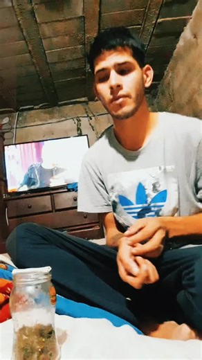 Alexis Castillo on TikTok
