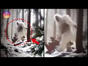 [Video] Monsters and Unidentified Creatures Filmed, Part 7