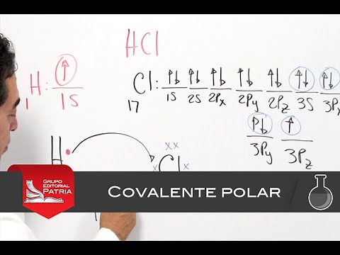 Enlace covalente polar │química