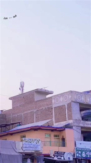 Explore the Dangers of Urban Life in Town