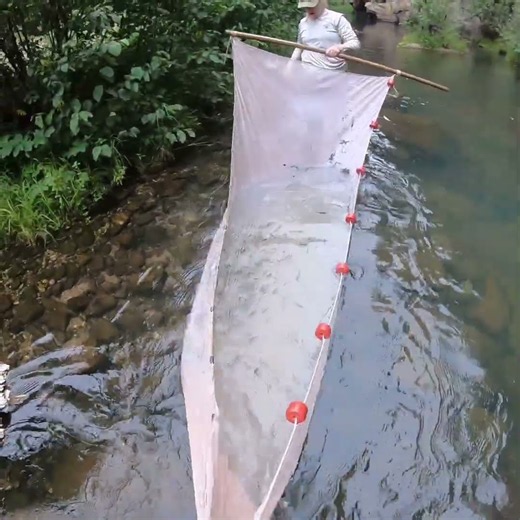 Catching a ton of fish with the net