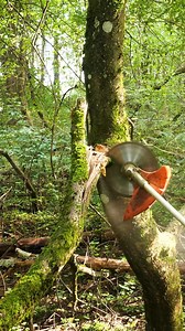 Circular Saw Hacks | Crafty Panda