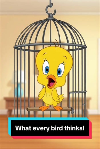 Funny tweety pie video! Adult humour! #looneytunes #adulthumor #bird #tweety #comedy