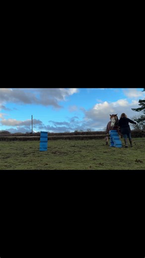 Working on sideways with River 💙 He really does try hard for me 🥰 @TRT Method #horse #equestrian #river #horseriding #birdsong