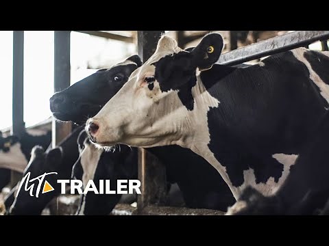 COW (2022) Official Trailer — Academy Award ® (HD)