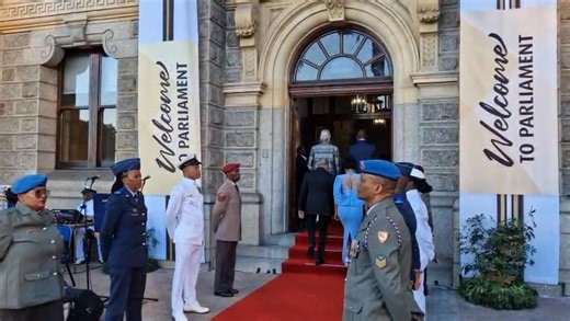 South African National Defence Force members at the #SONA2026. | SA National Defence Force