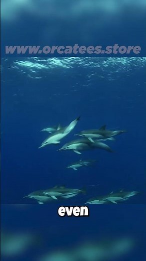🐬 Dolphins: Heroes of the Sea? Their Altruism Will Amaze You! ❤️