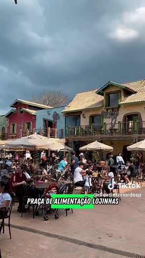 📍ANIMÁLIA PARK Apresento para vocês o @animaliapark o mais novo parque de São Paulo. O parque é dividido em três partes sendo elas partes o Animália Reserva, Animália Forest e Animália Diversões 🦁Animália Reserva uma área com mais de 220mil m² com 1200 animais de 170 espécies diferentes, o passeio é dividido em várias áreas que representa os continentes Africano, Americano, Asiático e Oceania Além da fazendinha com diversos animais. 🦜Animália Forest um aviário com 10.000 mil m² com 654 aves d