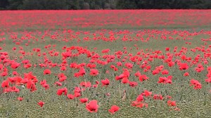 #NBRThisWeek: Your top business news stories of the week. Subscribe to NBR for updates throughout the day: https://www.nbr.co.nz/subscriptions | National Business Review | Facebook
