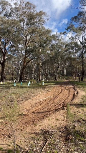 Brett Prout on Reels