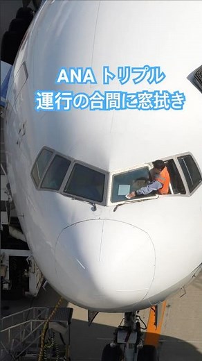 ANA トリプル B777 運行の合間に窓拭き 羽田空港 第2ターミナル #shorts #羽田空港ライブカメラ