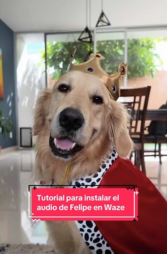 Tutorial para usar la voz de Felipe en Waze