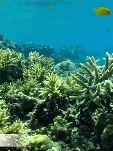 How to Protect Nature in Your Local Area