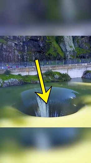 83K views · 448 reactions | "INFORMATIVE STORIES" #Facts #DidYouKnow #AmazingFacts #InterestingFacts #StoryTime #FactsOfLife #TrueStories #InspirationalStories #FascinatingFacts #MindBlowingFacts #WeirdButTrue #CrazyFacts #AstoundingFacts #UnbelievableFacts #BizarreFacts | Tech vision | Facebook