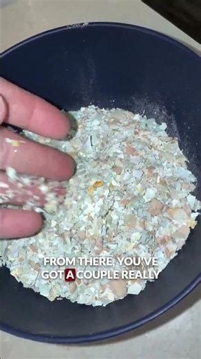 Resourceful Living - Eggshell Use