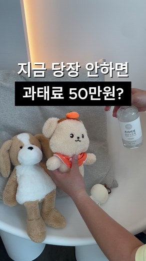 3일밖에 안남았어요!! 8월 26일에 비대면조사 끝나니까 참고하세요 #주민등록증 #주민번호사실조사 #일상꿀팁 #생활꿀팁 #과태료