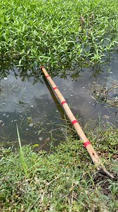 Amazing fish catching | Fishing Village