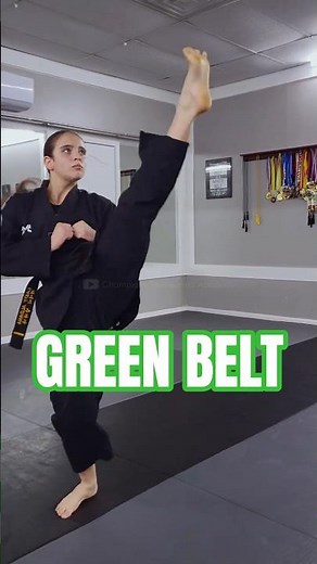 Taegeuk 3 Jang Poomsae (Green) | #taekwondo